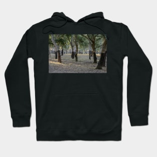 Canberra Cork Plantation 01 Hoodie